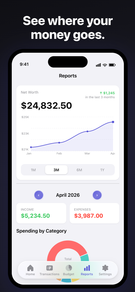 Basis Budget reports screenshot
